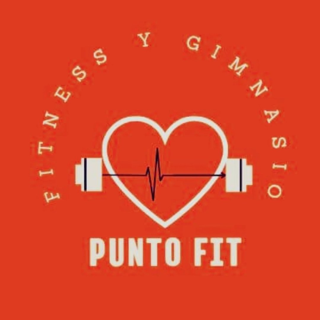 Punto Fit